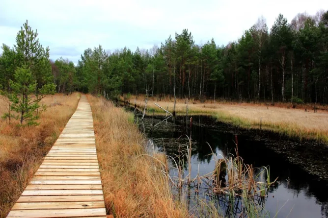 Prázdninové ubytování - Střední odborná škola ekologická a potravinářská Veselí nad Lužnicí