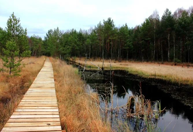 Prázdninové ubytování - Střední odborná škola ekologická a potravinářská Veselí nad Lužnicí