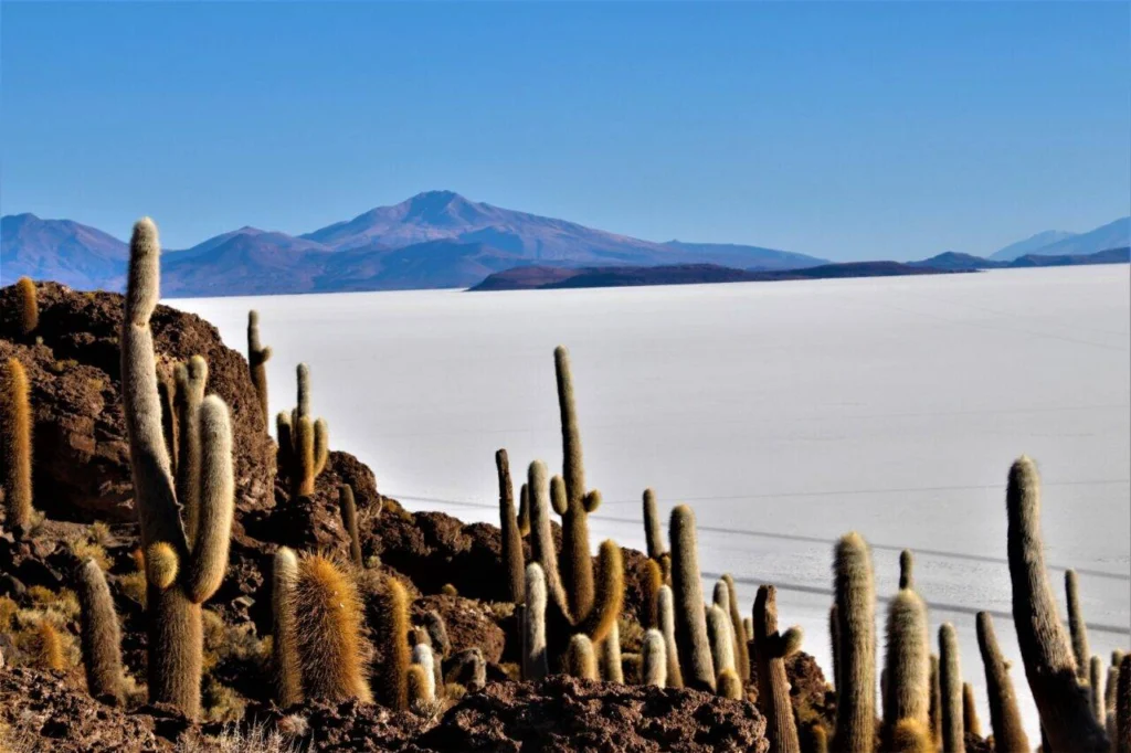 Peru – Bolívie – Chile - Střední odborná škola ekologická a potravinářská Veselí nad Lužnicí