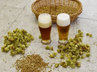 Technologie potravin - Střední odborná škola ekologická a potravinářská Veselí nad Lužnicí