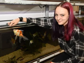 Ekologie a životní prostředí - Střední odborná škola ekologická a potravinářská Veselí nad Lužnicí