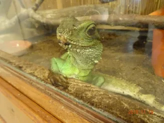 Ekologie a životní prostředí - Střední odborná škola ekologická a potravinářská Veselí nad Lužnicí