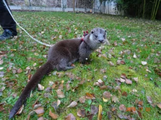 Přírodovědné lyceum - Střední odborná škola ekologická a potravinářská Veselí nad Lužnicí