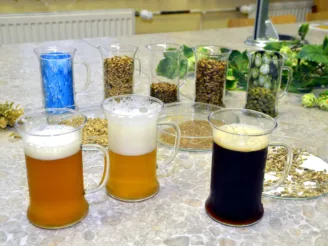 Školní minipivovar - Střední odborná škola ekologická a potravinářská Veselí nad Lužnicí