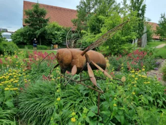 25 th Junior - Eco - Expert Project - Střední odborná škola ekologická a potravinářská Veselí nad Lužnicí