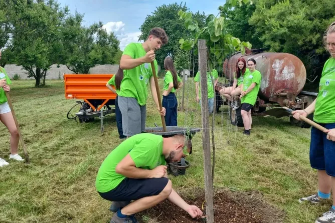 25 th Junior - Eco - Expert Project - Střední odborná škola ekologická a potravinářská Veselí nad Lužnicí