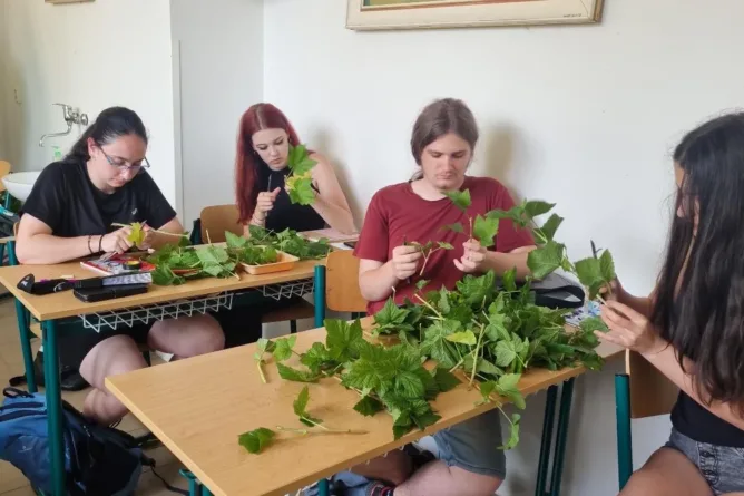 25 th Junior - Eco - Expert Project - Střední odborná škola ekologická a potravinářská Veselí nad Lužnicí