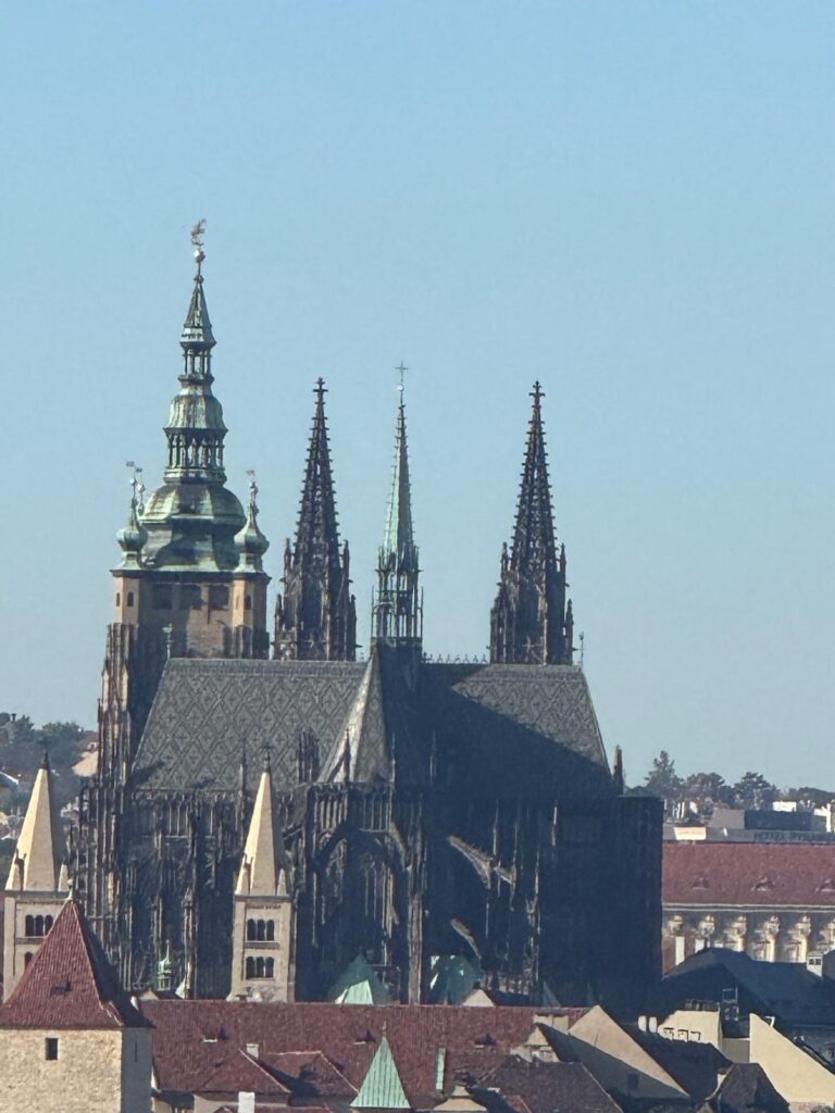 SOŠEP v pohybu – a na střeše! 🌿🏙️ - Střední odborná škola ekologická a potravinářská Veselí nad Lužnicí