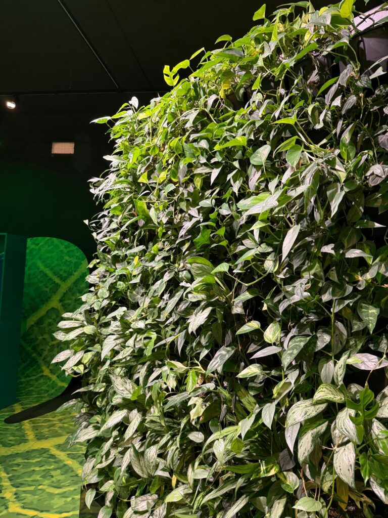 SOŠEP v pohybu – a na střeše! 🌿🏙️ - Střední odborná škola ekologická a potravinářská Veselí nad Lužnicí