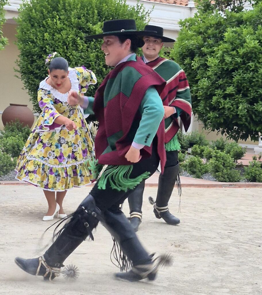 Chile - Střední odborná škola ekologická a potravinářská Veselí nad Lužnicí