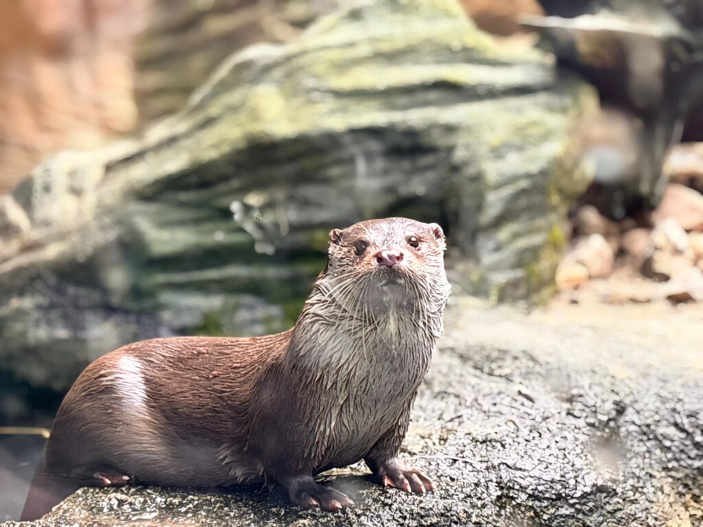 🐾Osvěta, která má smysl 🐾 - Střední odborná škola ekologická a potravinářská Veselí nad Lužnicí