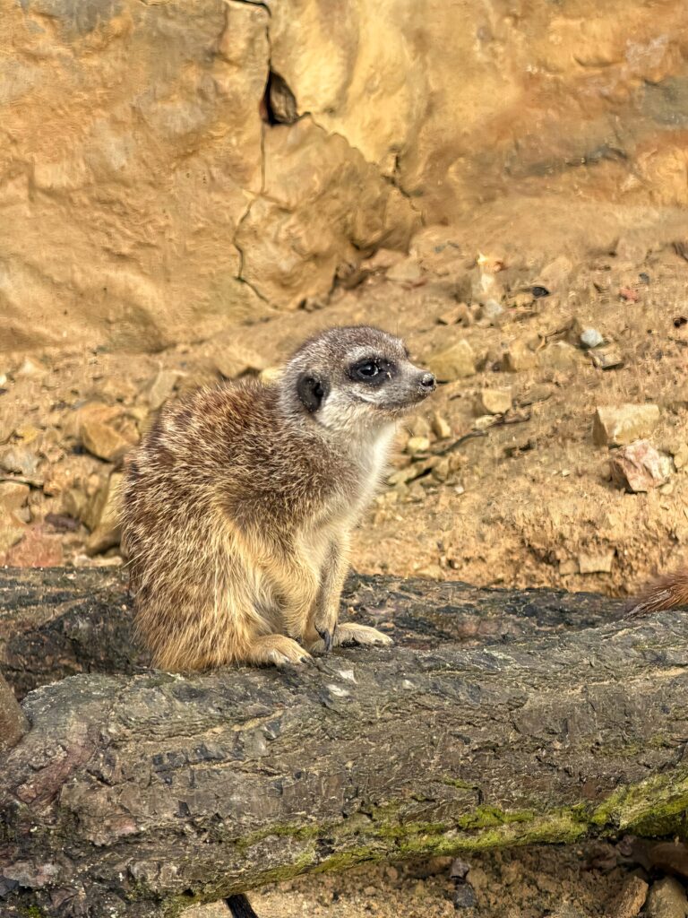 🐾Osvěta, která má smysl 🐾 - Střední odborná škola ekologická a potravinářská Veselí nad Lužnicí