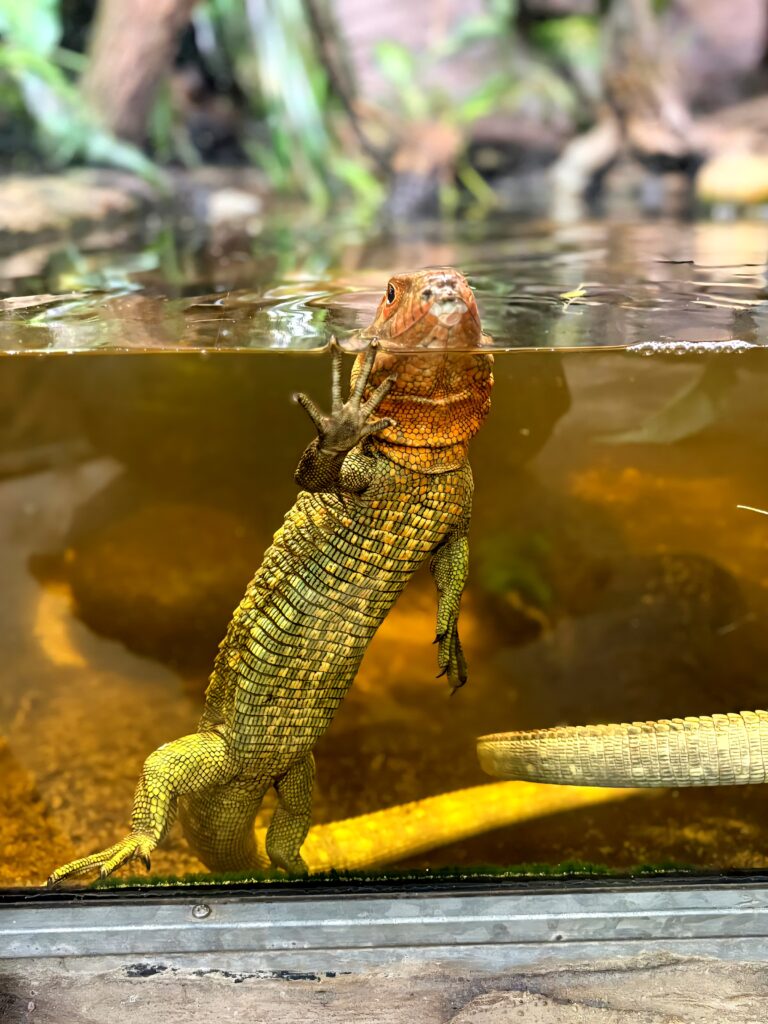 🐾Osvěta, která má smysl 🐾 - Střední odborná škola ekologická a potravinářská Veselí nad Lužnicí