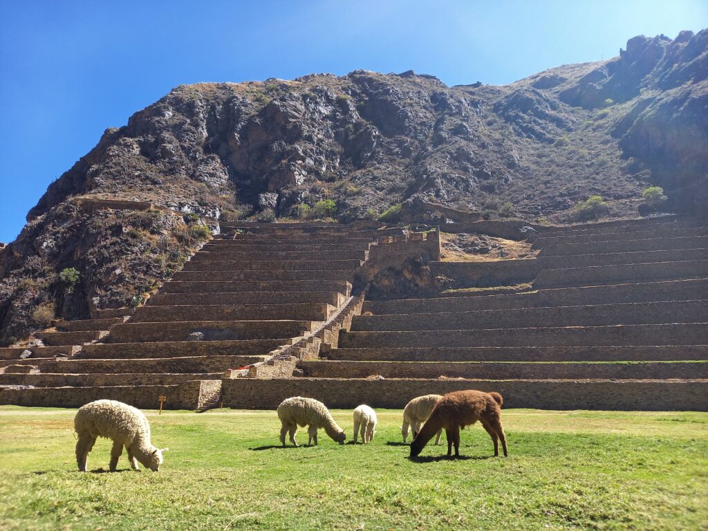 Peru - země pouští, ledovců i pralesa - Střední odborná škola ekologická a potravinářská Veselí nad Lužnicí