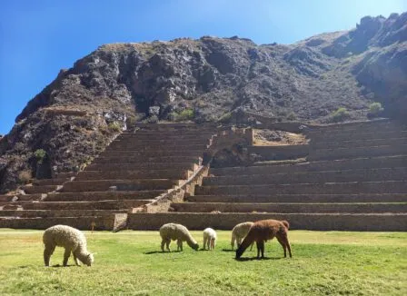 Střední odborná škola ekologická a potravinářská Veselí nad Lužnicí - Střední odborná škola ekologická a potravinářská Veselí nad Lužnicí