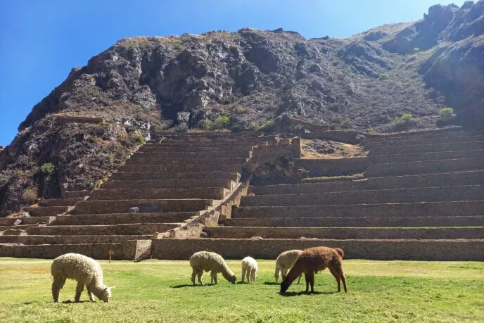 Střední odborná škola ekologická a potravinářská Veselí nad Lužnicí - Střední odborná škola ekologická a potravinářská Veselí nad Lužnicí