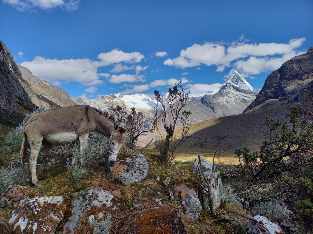 Peru - země pouští, ledovců i pralesa - Střední odborná škola ekologická a potravinářská Veselí nad Lužnicí