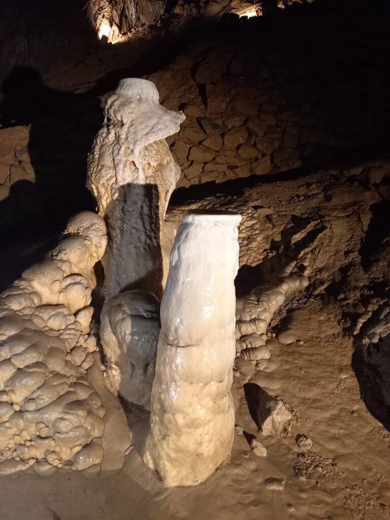Tři ročníky, tři dny, tři top místa: 🍇Špalek, MENDELU 🔬, Macocha 👀 - Střední odborná škola ekologická a potravinářská Veselí nad Lužnicí