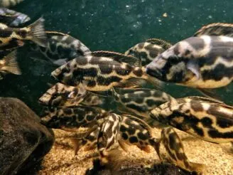 Ekologie a životní prostředí - Střední odborná škola ekologická a potravinářská Veselí nad Lužnicí