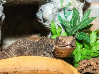 Ekologie a životní prostředí - Střední odborná škola ekologická a potravinářská Veselí nad Lužnicí