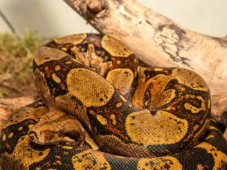 Ekologie a životní prostředí - Střední odborná škola ekologická a potravinářská Veselí nad Lužnicí
