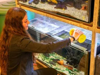 Ekologie a životní prostředí - Střední odborná škola ekologická a potravinářská Veselí nad Lužnicí