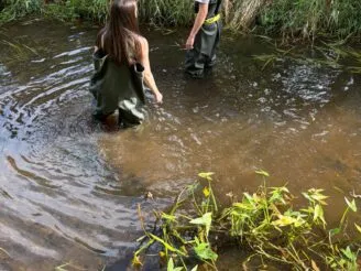 Ekologie a životní prostředí - Střední odborná škola ekologická a potravinářská Veselí nad Lužnicí