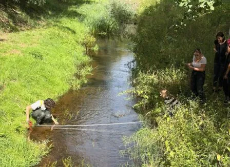 Střední odborná škola ekologická a potravinářská Veselí nad Lužnicí - Střední odborná škola ekologická a potravinářská Veselí nad Lužnicí