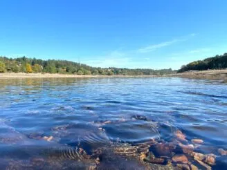 Ekologie a životní prostředí - Střední odborná škola ekologická a potravinářská Veselí nad Lužnicí