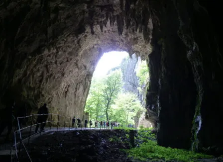 Střední odborná škola ekologická a potravinářská Veselí nad Lužnicí - Střední odborná škola ekologická a potravinářská Veselí nad Lužnicí